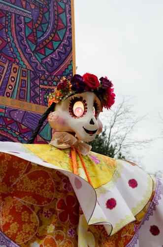 DSC 7061